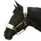 Back On Track Therapeutic Fleece Halter Covers - 2 pcs
